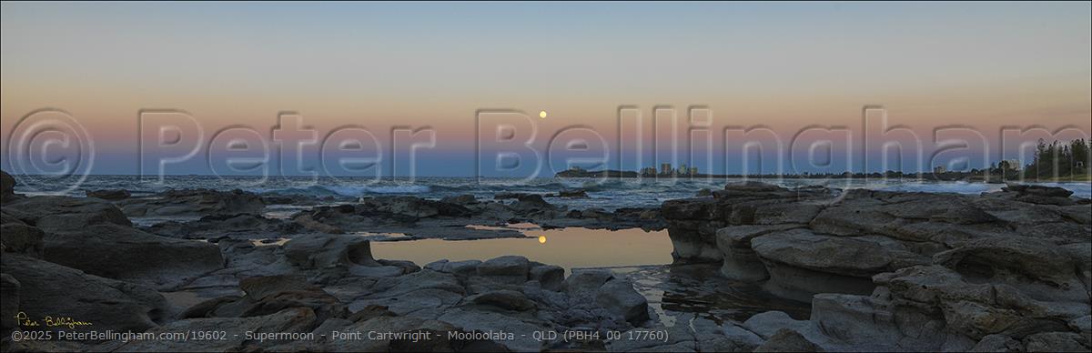 Peter Bellingham Photography Supermoon - Point Cartwright - Mooloolaba - QLD (PBH4 00 17760)
